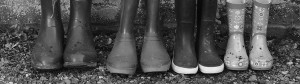 protecting family wealth - wellies in a row